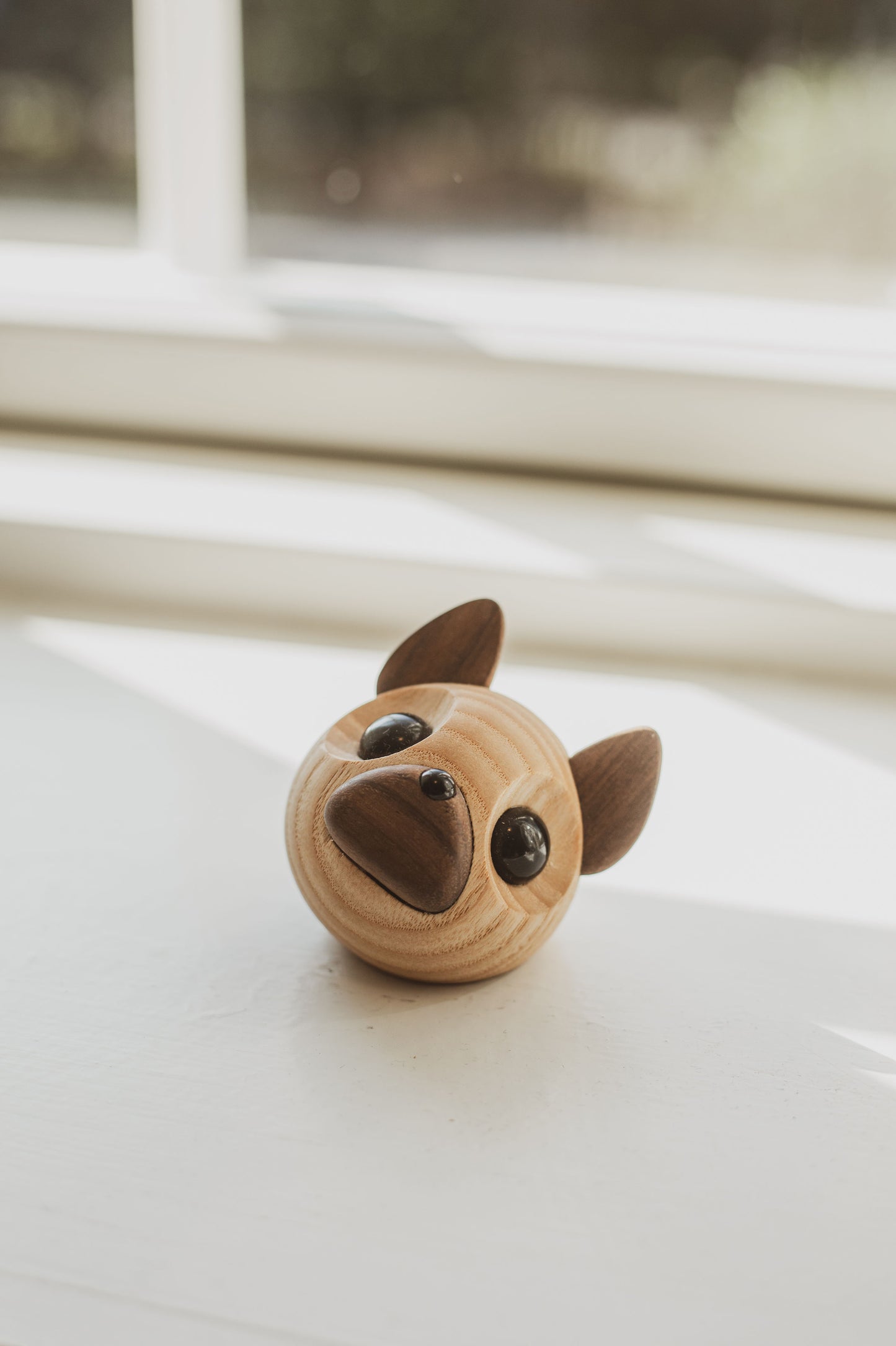 Bill - Lille fransk bulldog