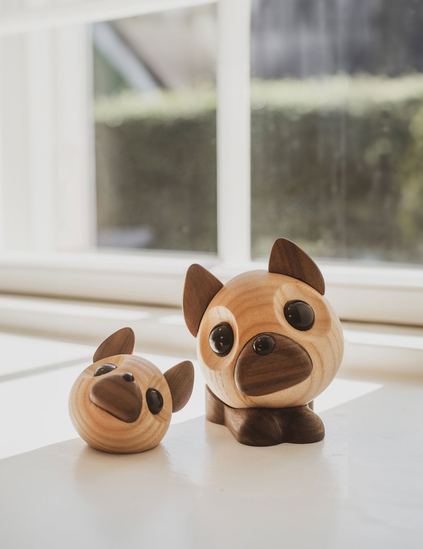 benny den franske bulldog i en vindueskarm