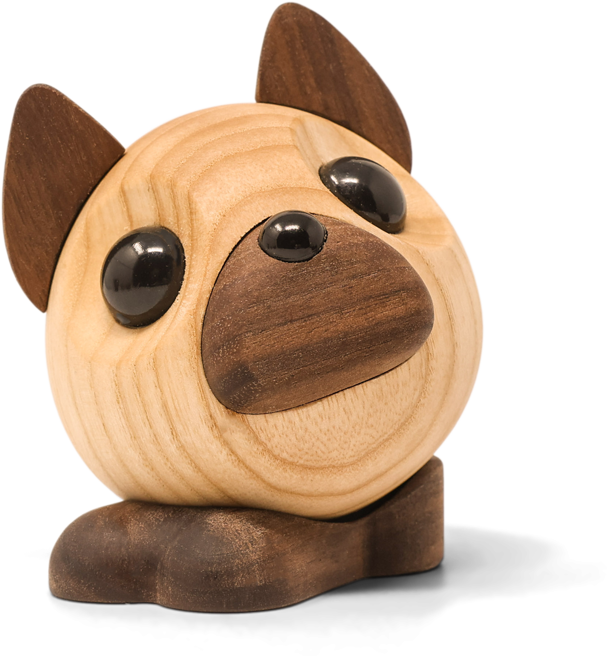 benny den franske bulldog på hvid baggrund