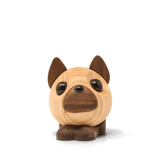 Benny - French Bulldog