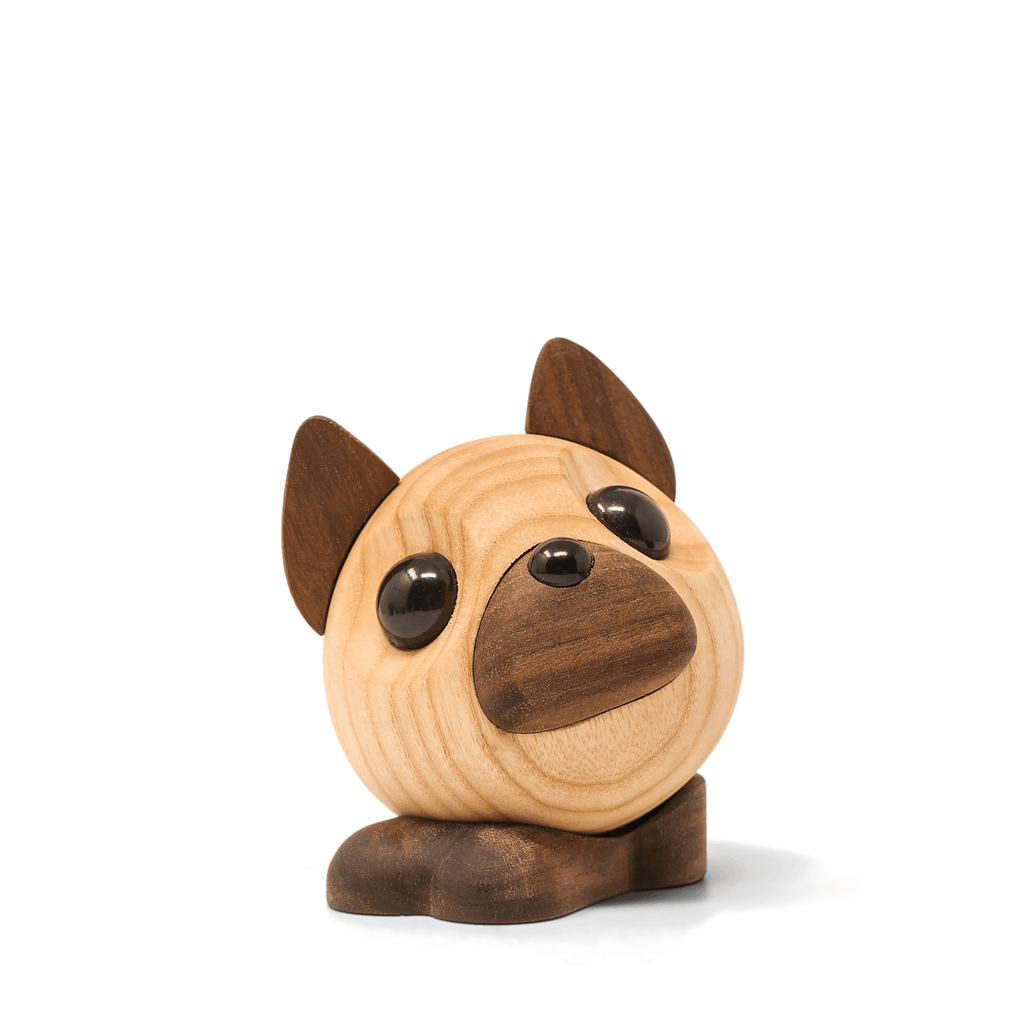 Benny - French Bulldog
