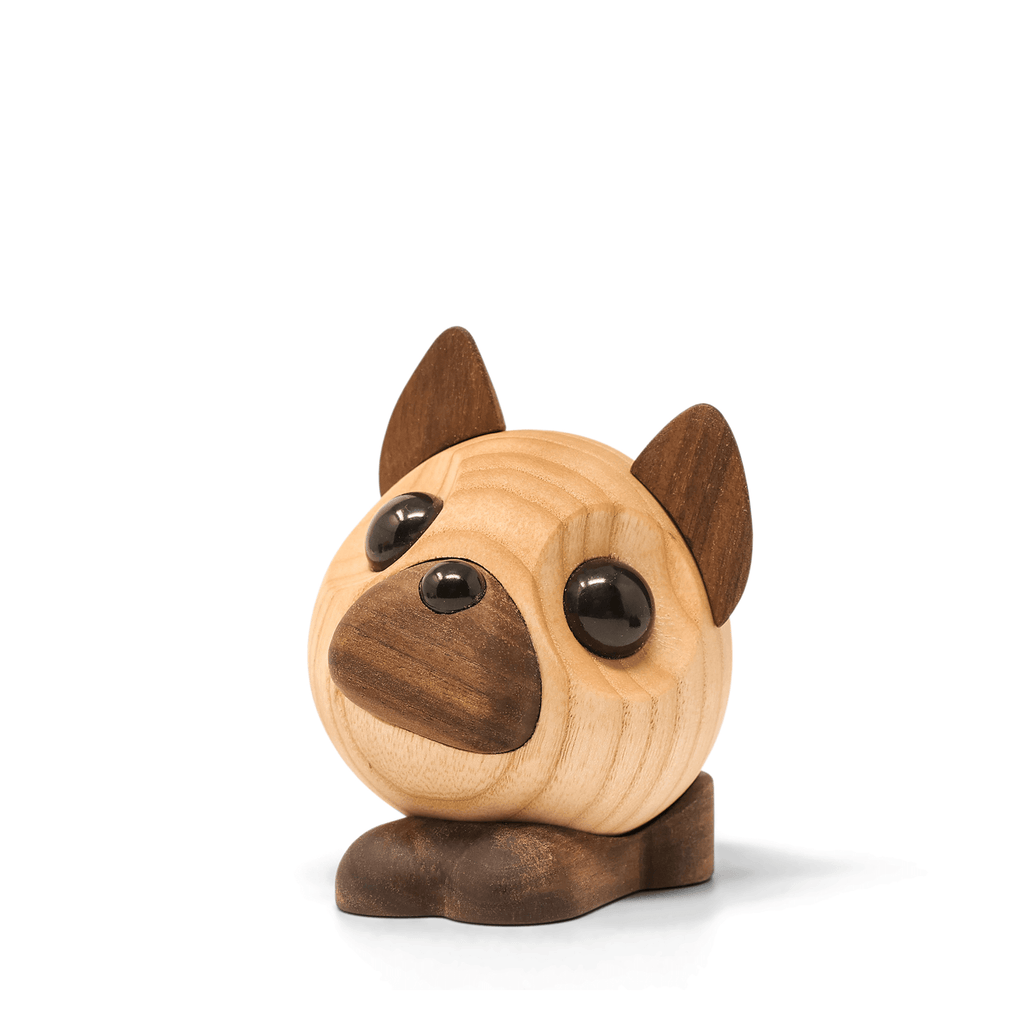 Benny - French Bulldog