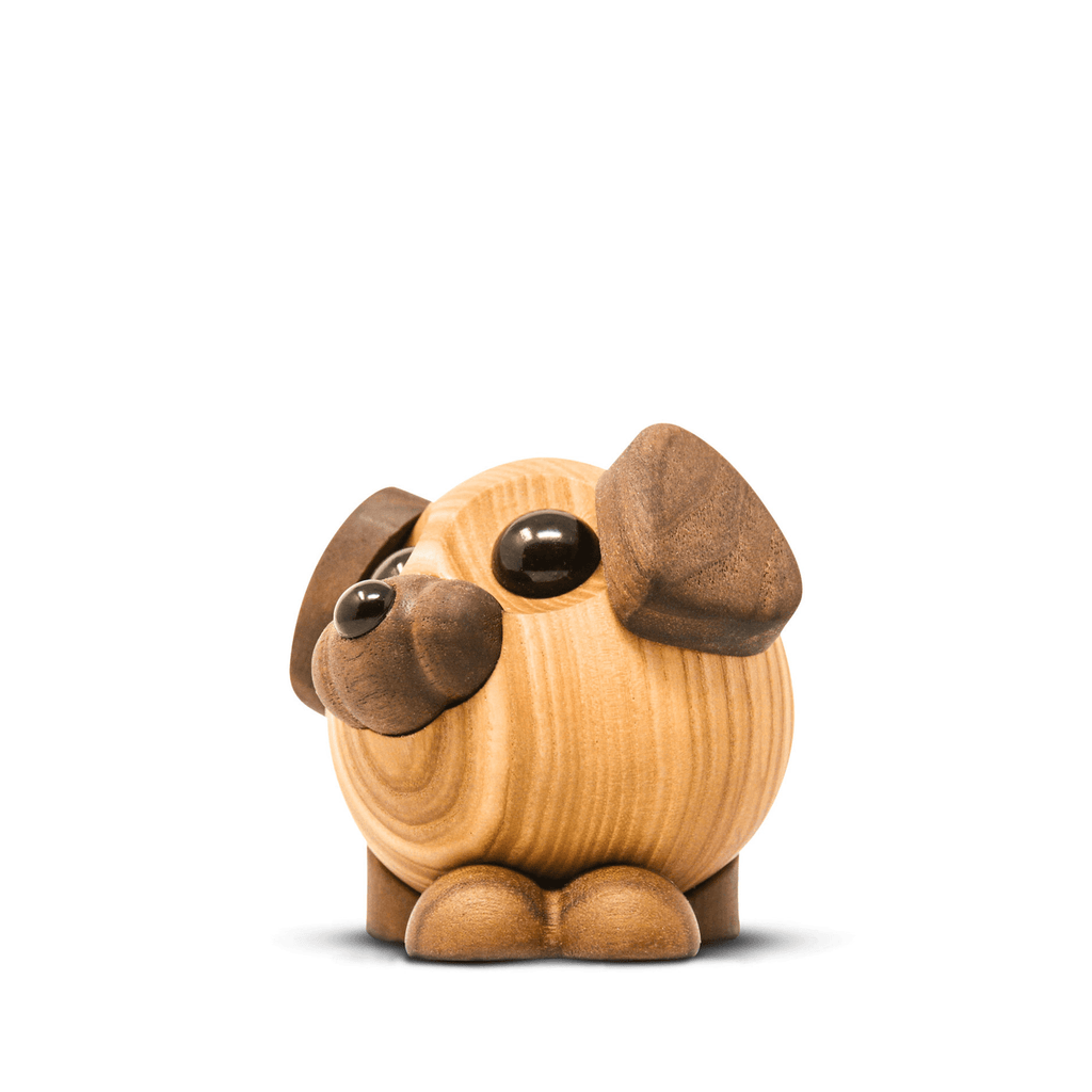Buddy - the big dog