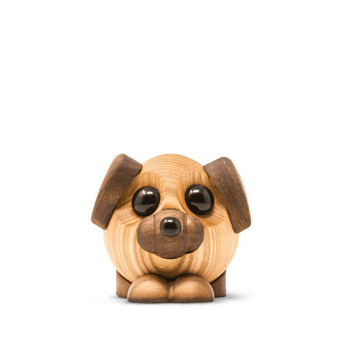 Buddy - the big dog