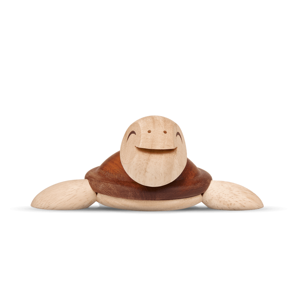Henry, stor Skildpadde