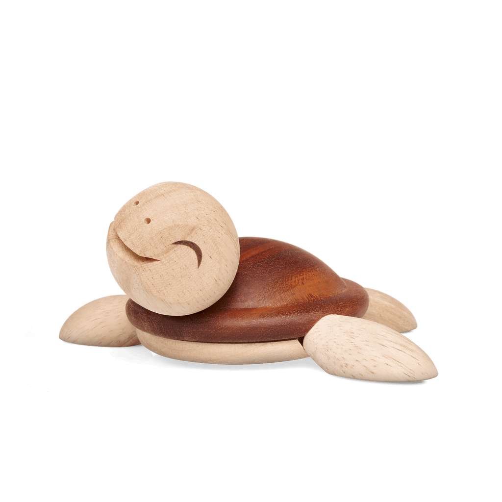 Henry, stor Skildpadde