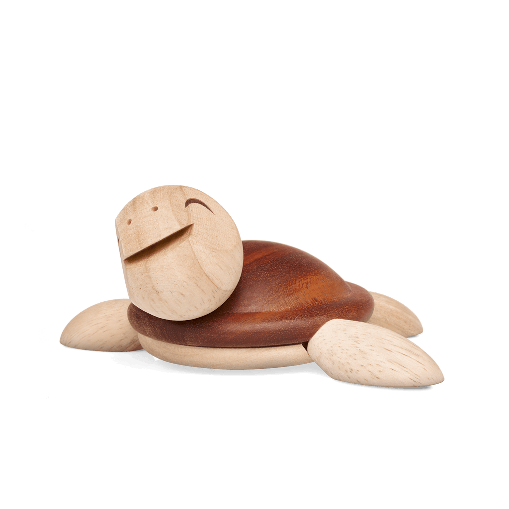 Henry, stor Skildpadde