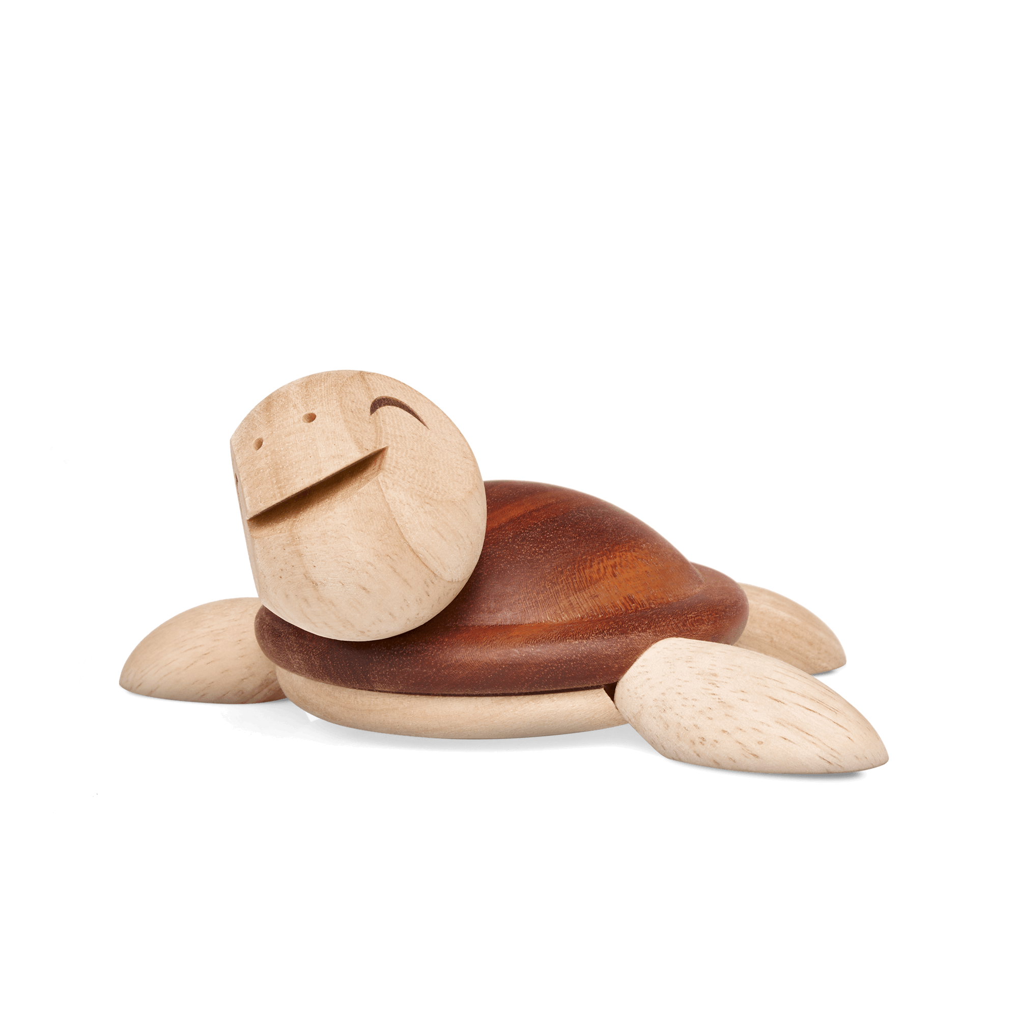 Henry, stor Skildpadde
