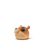 Kaj - the little reindeer