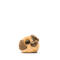Molly - den lille hund