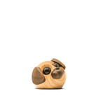 Molly - den lille hund