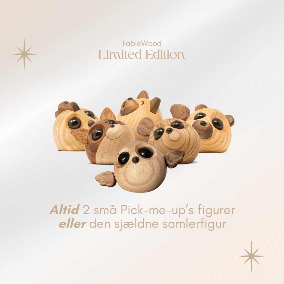 Limited Edition Mystery Bag (S)