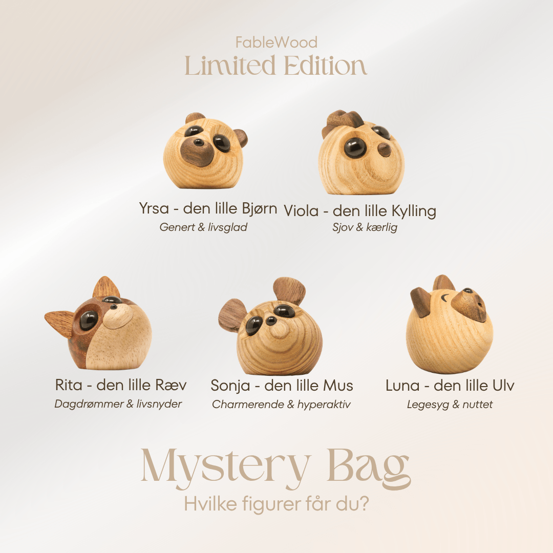 Limited Edition Mystery Bag (S)