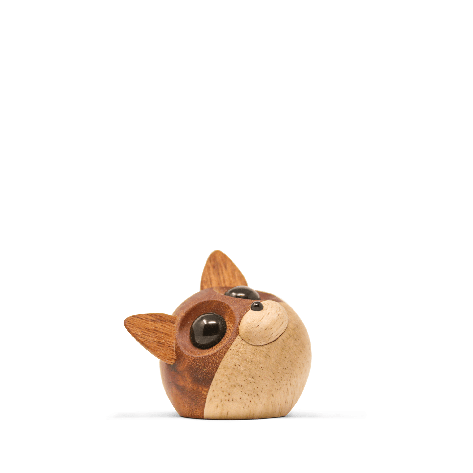 Rita – the small fox