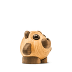 Teddy - the bear