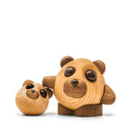 Teddy - the bear