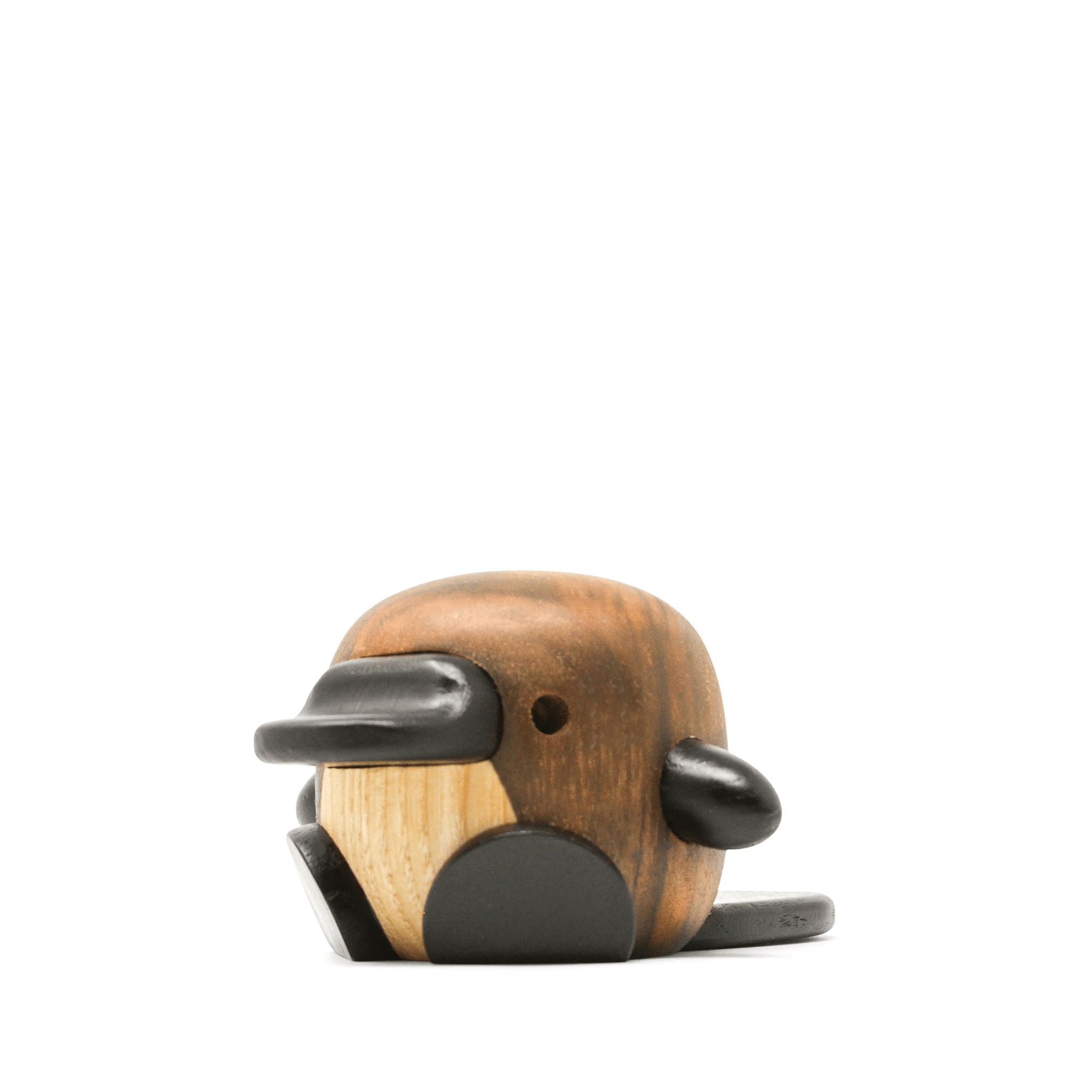 Mary - the little Platypus