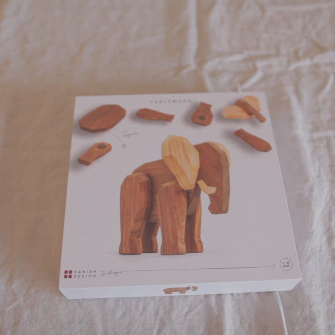 The Father Elephant